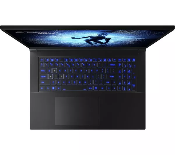 Medion Erazer Defender P40 17.3" Gaming Laptop